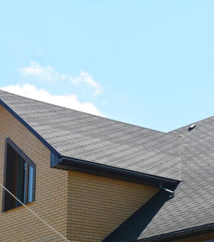 shutterstock 1736444837